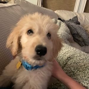 Meet your Posher, Michelle